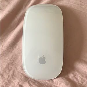 Apple mouse (the wireless one)